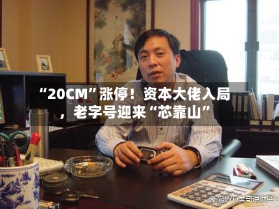 “20CM”涨停!资本大佬入局,老字号迎来“芯靠山”