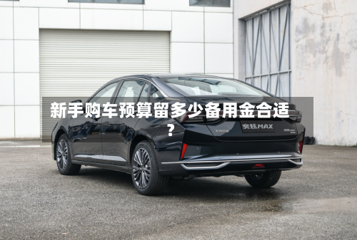 新手购车预算留多少备用金合适?