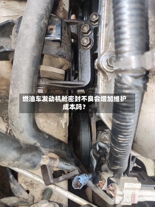 燃油车发动机舱密封不良会增加维护成本吗?