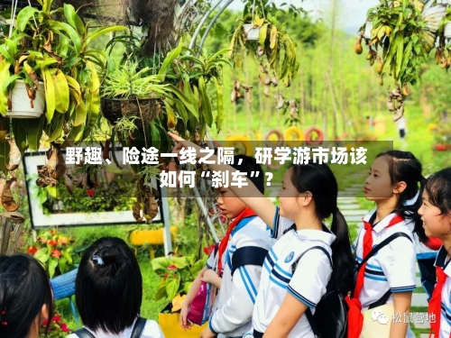 野趣、险途一线之隔,研学游市场该如何“刹车”?