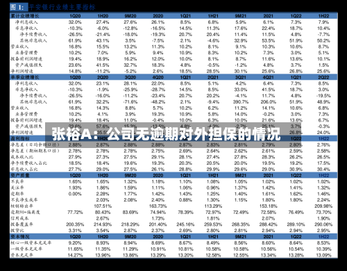 张裕A:公司无逾期对外担保的情况