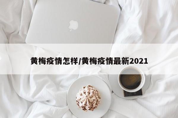 黄梅疫情怎样/黄梅疫情最新2021